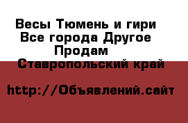 Весы Тюмень и гири - Все города Другое » Продам   . Ставропольский край